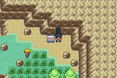 Pokemon Genesis Screenshot 1